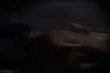Subuh Tadi Ada Suara Plok Plok
